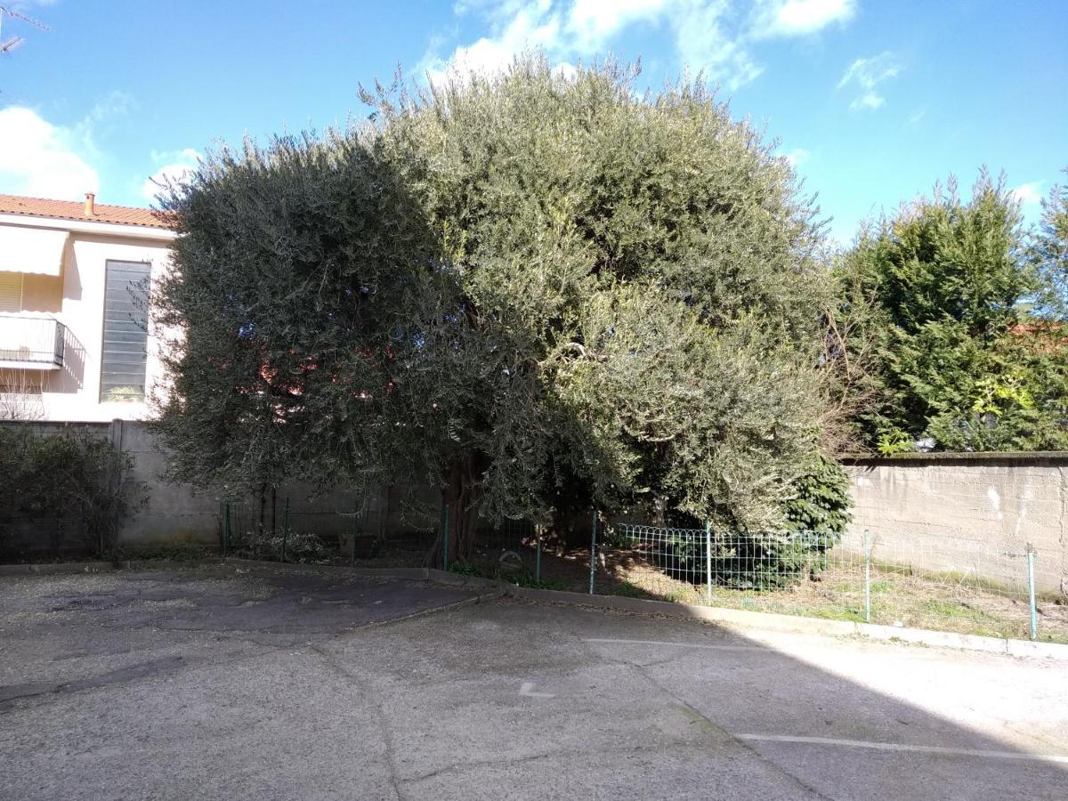 Appartamenti Olivo Vigevano Extérieur photo
